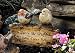 BIRDS garden stake SIGN planter yard PEACE BE WITH YOU