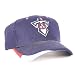 Tennessee Titans 