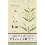 sister of my heart a novel