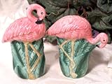 Pink Flamingo Kitchen Salt and Pepper Shaker Set