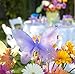 Nylon Hanging Butterflies Decoration