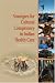 Strategies for Cultural Competency in Indian Health Care