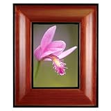 Review Linea  / Black Accents Frame- Walnut(5x7