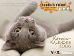 hundkatzemaus Katzenkalender, Brosch�...