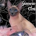Siamese Cats 2008 Wall Calendars