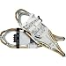Sporting Goods : Redfeather Snowshoes Stride XT Snowshoe - Women's