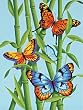 9x12 Learn PBN-Butterfli/Bambo