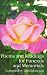 Poems and Readings for Funerals and Memorials