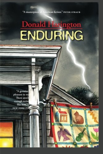 Enduring (Stay More series)