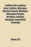 Cadillac Micropolitan Area; Cadillac, Michigan, Wexford County, Michigan, Missaukee County, Michigan, Buckley, Michigan, Bloomfield Township-