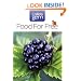 Food For Free (Collins Gem)