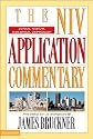 Jonah, Nahum, Habakkuk, Zephaniah (NIV Application Commentary, The)
