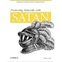 Protecting Networks with SATAN