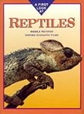 A first look at reptiles