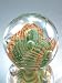 Hand Blown Glass Art Crystal Rainbow Glass Paperweight
