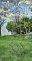 Pack of 2 Garden Scroll Wind Chime Obelisk Yard Art 65"