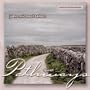 Peace Prayer (Instrumental)