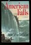 American Falls: A Novel