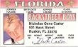 Backstreet Boys Nick Fake Drivers License