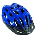 Ascent M-12 Sport Helmet