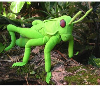Childrens Toyshop  Toys : Grasshopper Animal Puppet (P8205)