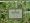 Lush Green Queen Sheet Set 200 Thread Count
