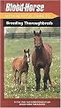 The Blood Horse Authoritative Guide to Breeding Thoroughbreds (Paperback)