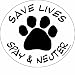 Imagine This 4-3/4-Inch by 4-3/4-Inch Car Magnet Social Issues Circle, Save Lives White Spay and Neuter