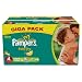 Pampers Baby-Dry Size 4 (15-40 lbs/7-18 kg) Nappies - Pack of 132 Nappies