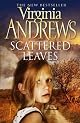 Scattered Leaves(Early Spring)