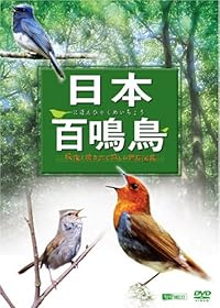 日本百鳴鳥/映像と鳴き声で愉しむ野鳥図鑑 [DVD]