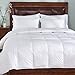 Home Elements Peace Nest - Lightweight Down Comforter Duvet Insert Cotton 550 Fill Power, White, Twin Size