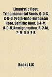 Linguistic Root: Triconsonantal Roots, Q-D-, K-B-D, Proto-Indo-European Root, Semitic Root, S-L-M, A-D-N, Amalgamation, R--M, -M-D, K-F