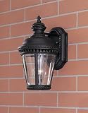 11-3/4-Inch Outdoor Wall Light