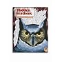 Hidden Feathers - Creative Camouflage Colouring Book
