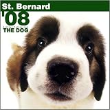 St Bernard Wall (ARTLIST) 2008
