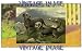 2.75 inch x 2 inch (7.5 x 5cm) Acrylic Fridge Magnet Dogs Dandie Dinmont Terriers Vintage Image