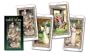 Tarot of Druids (English and Spanish Edition)
