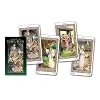 Tarot of Druids (English and Spanish Edition)
