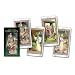 Tarot of Druids (English and Spanish Edition)