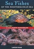 Sea fishes of the Mediterranean including marine invertebrates
