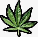 Marijuana Pot Leaf - Sticker / Decal (Hemp / Stoner)