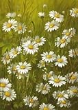 Marguerite by Fasani. PLAQUE MOUNTED. 12.00 inches width by 16.00 inches height. Highest Quality Art Poster Print