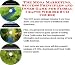 The Mega Marketing, Success Principles and Inner Game for Floral Crafts Web Biz 3 CD Course