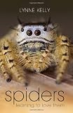 Spiders