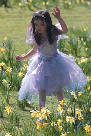 Lilac fairy girls 6-8 years