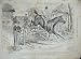 1880 Advertisment Ellimans Embrocation Horse Jumping