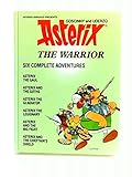 Asterix the warrior