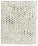 Holmes HWF55CS Wick Filter, 1 Per Package