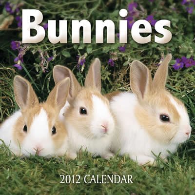 Bunnies 2012